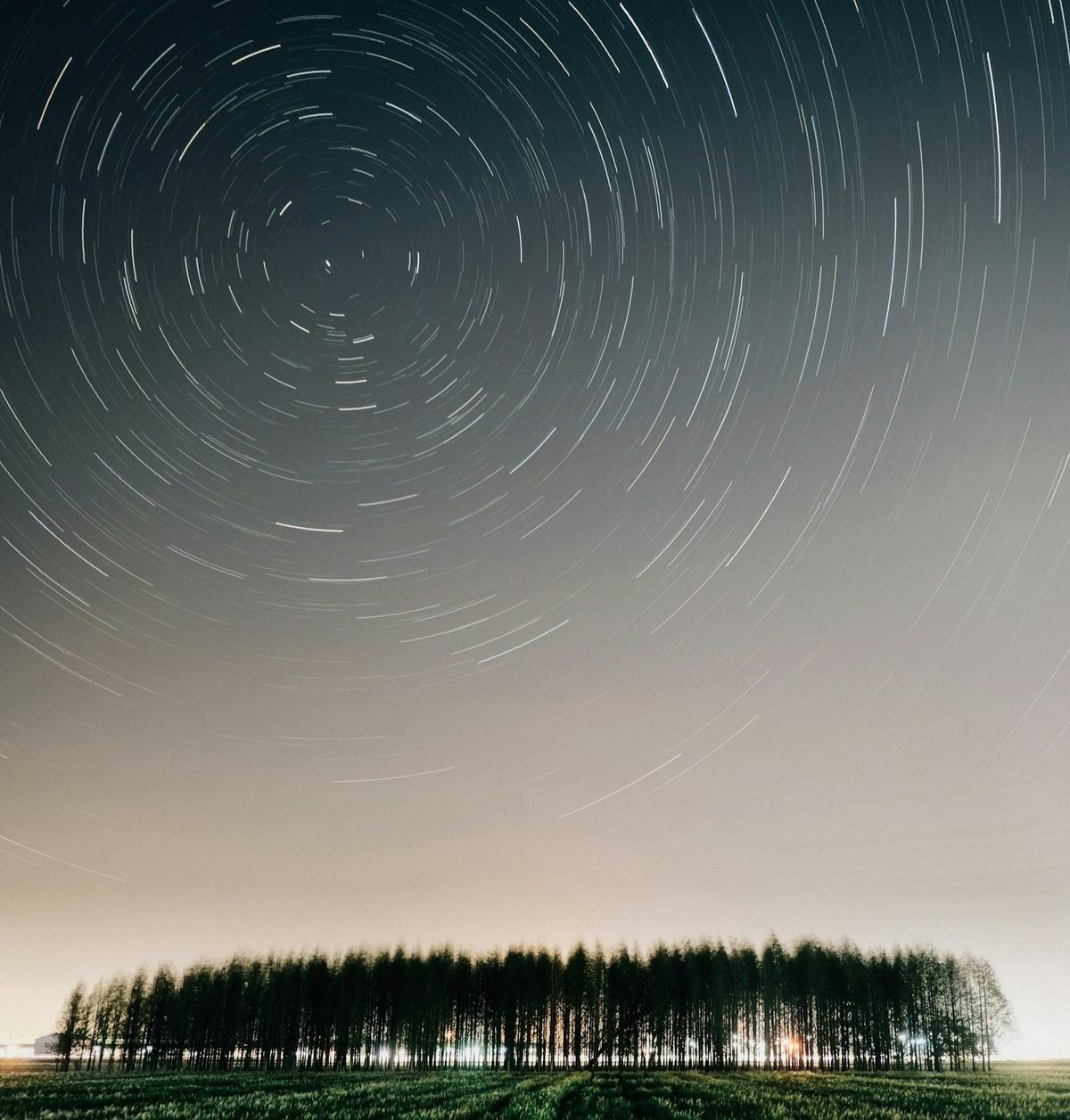 A long-exposure photograph of star trails circling the pole above a line of trees.