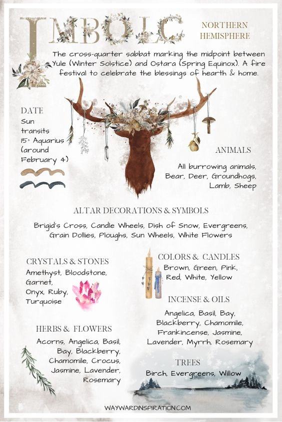 Illustrated Imbolc correspondence chart credited to waywardinspiration.com. Imbolc, northern hemisphere — the cross-quarter sabbat marking the midpoint between Yule (winter solstice) and Ostara (spring equinox); a fire festival celebrating the blessings of hearth and home. Date: sun transits 15° Aquarius, around February 4. Animals: all burrowing animals, bear, deer, groundhogs, lamb, sheep. Altar decorations and symbols: Brigid’s cross, candle wheels, dish of snow, evergreens, grain dollies, ploughs, sun wheels, white flowers. Crystals and stones: amethyst, bloodstone, garnet, onyx, ruby, turquoise. Colours and candles: brown, green, pink, red, white, yellow. Incense and oils: angelica, basil, bay, blackberry, chamomile, frankincense, jasmine, lavender, myrrh, rosemary. Herbs and flowers: acorns, angelica, basil, bay, blackberry, chamomile, crocus, jasmine, lavender, rosemary. Trees: birch, evergreens, willow.