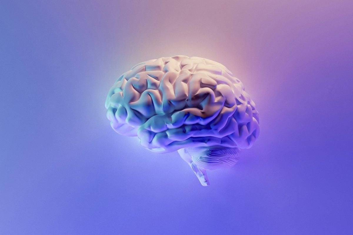 A three-dimensional rendering of a human brain lit in pink and violet.